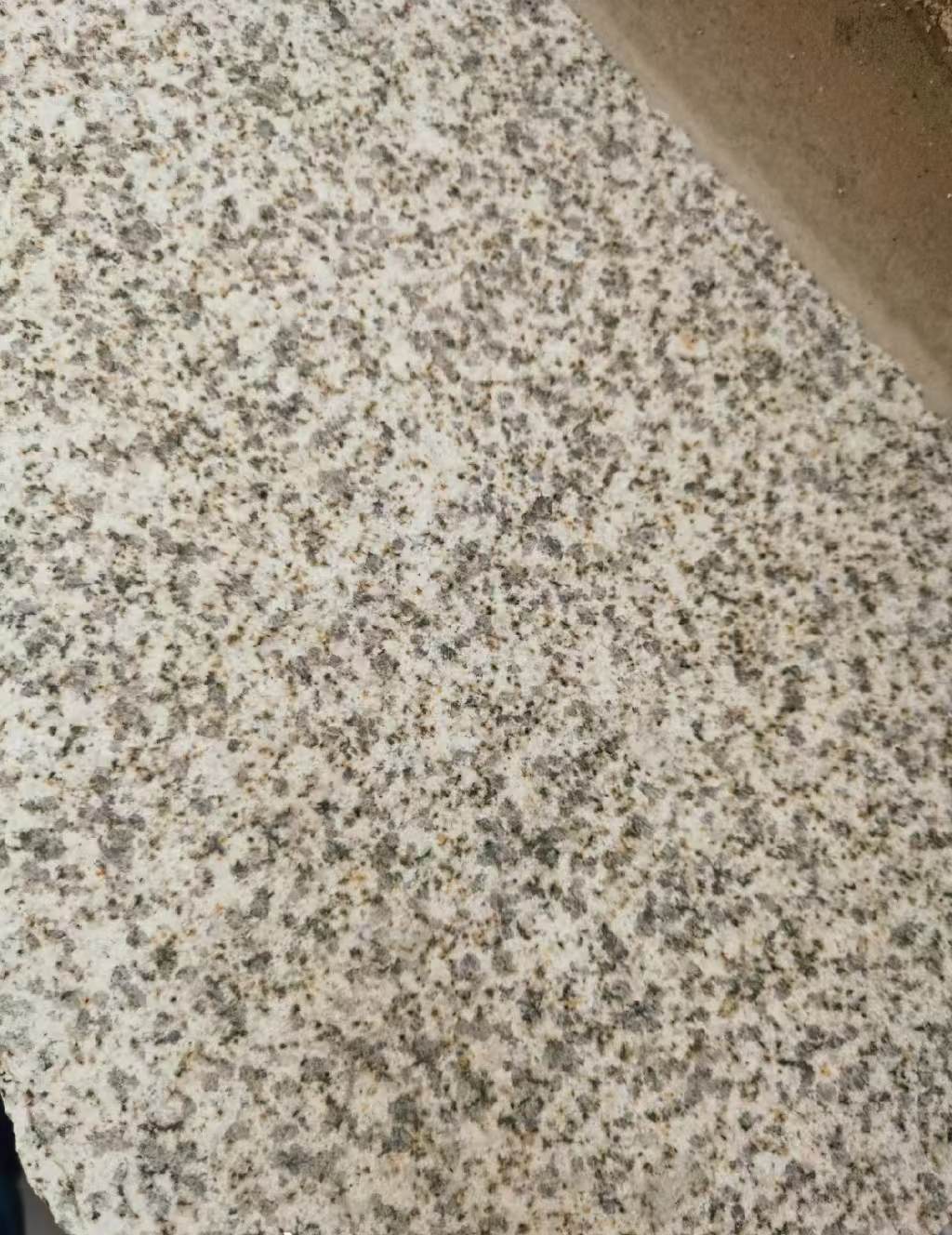 鸡西 黄金麻中黄光面