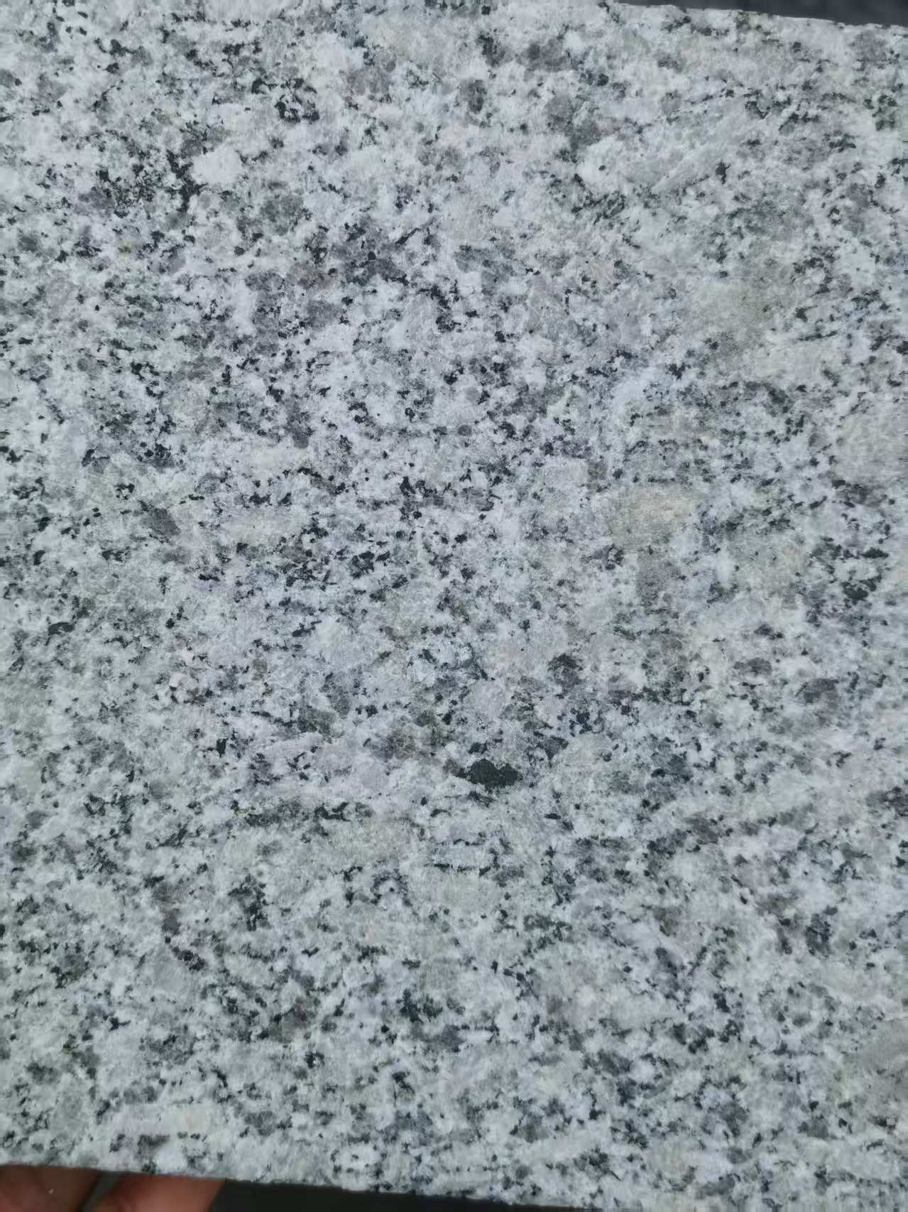 鸡西 芙蓉白火烧面
